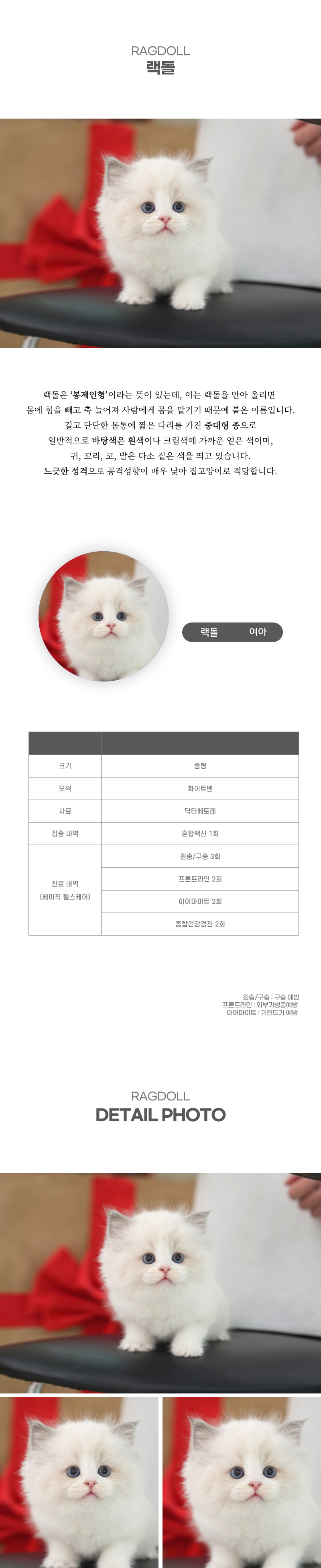 랙돌_상세이미지_2
